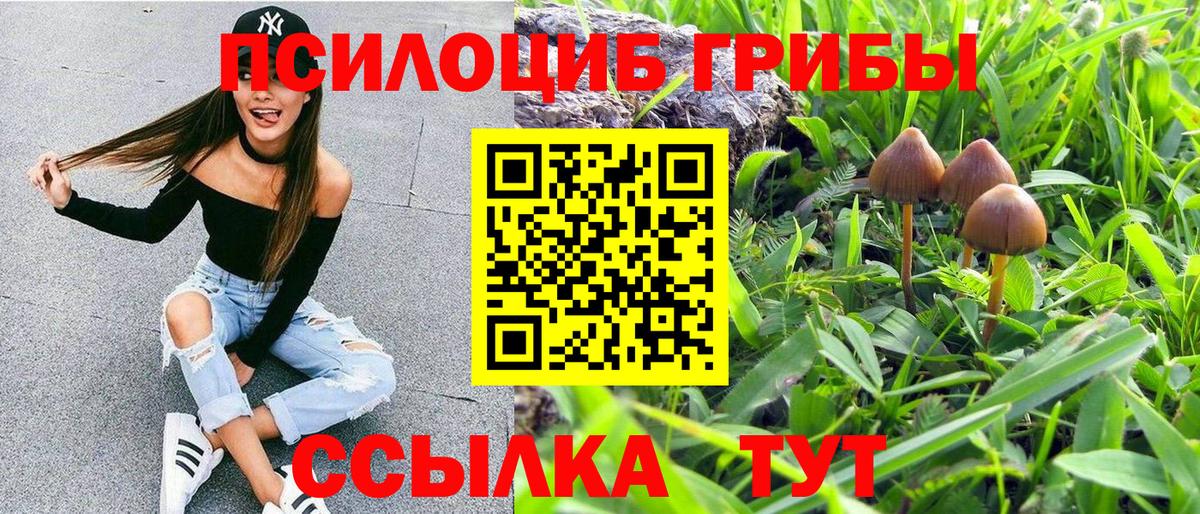 Галлюциногенные грибы Cubensis Казань